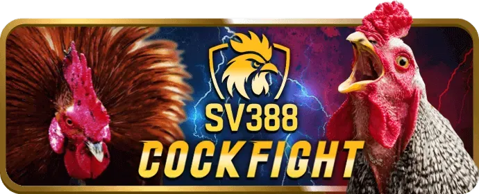 Tỷ lệ cược hấp dẫn